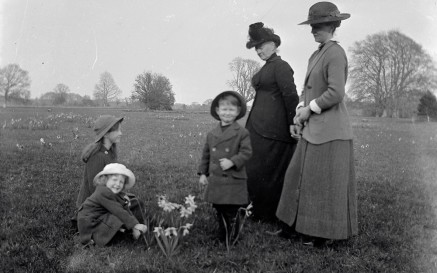 Women and children enjoying daffodils during spring
