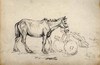 [Horse wearing collar, and [unfinished] cart]