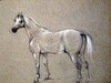 [Study of an Arab mare]