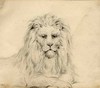 [Head of lion]