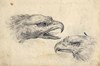 [Pair of eagles' heads]