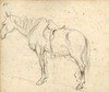 [Horse with saddle]