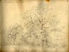 view larger version