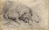 [Two Cairn terriers asleep, unfinished]