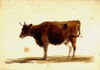 [Brown cow standing]
