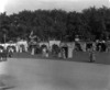 [Otteran festival in Waterford, named stalls such as 'Faithlegg' and 'Aquarium,']