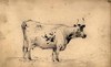 [Speckled cow]