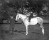 [Mr. Morgan and his son on horse, Mayor's Walk, Waterford]