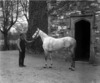 [Unidentified man with horse outside Delacy's home, Little Island, Waterford]