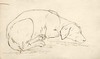 [A sleeping dog]