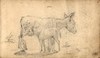 [A donkey and a foal]