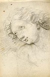 [Head of a young girl]