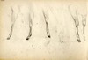 [Studies of hind and forelegs of deer]