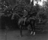 [Mr. M. Kiely on horse, Newtown, Co. Waterford]