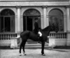 [Mr. Goff on horse at Glenville House, Co. Waterford]