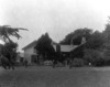 [Mount Ida house and garden, shrubbery, family members, Waterford]