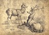 [A stag and a doe]