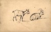 [Two goats]
