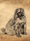 [A seated terrier]