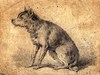 [A seated dog]