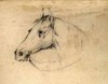 [A horse's head in a bridle]