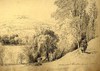 [Woman on a hillside overlooking the Powerscourt estate with Charleville House and Djouce mountains in the distance]