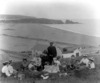 [Picnic party, Mr. Poole, Bunmahon, Co. Waterford]