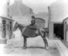 [Mrs. Cobbets on horse, stables, Co. Waterford]