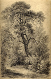 view larger version