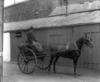 [Dr. Connolly in horse and cart, Lady Lane, Waterford]
