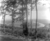 [View through trees of Blackwater river and Cappoquin, Co. Waterford]