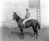 [Mr. Harty on horse, William Street, Waterford]