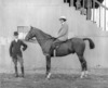 Mr. O'Connor on horse and Mr. Harty standing nearby