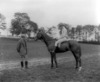 [Mr. Morgan on horse 'Charley,' Mr. Murphy standing]