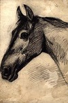 [A horse's head]