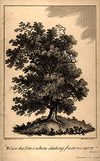 view larger version