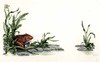view larger version