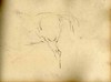 [Hindquarters of a horse - unfinished]