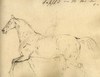 [Sketch of a horse in motion - unfinished]