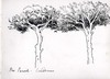 view larger version
