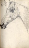 [Head of a horse ; Ears of a horse]