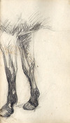 [Study of a horse's forelegs]