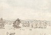 [View of a landscape with cattle grazing among the trees]