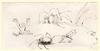 [Preparatory illustration for "In Fairyland : A Series of Pictures from the Elf-World", by Richard Doyle]