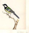 view larger version