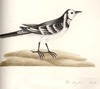 view larger version