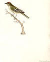 view larger version