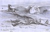 view larger version