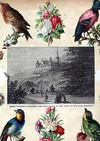 view larger version