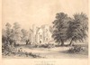 view larger version